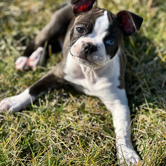 Meet your Posher, Sheri - Picture 6 of 6